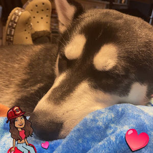 Meet your Posher, Ellie